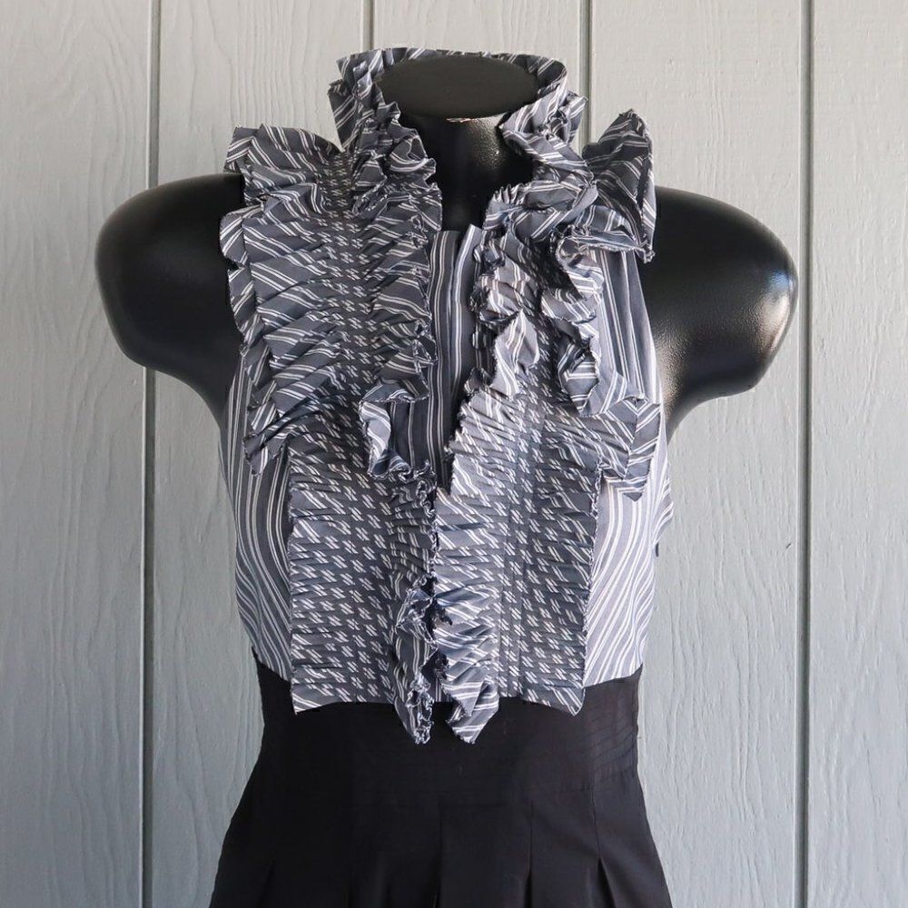 BCBG MaxAzria Ruffle Top and Pleated Skirt